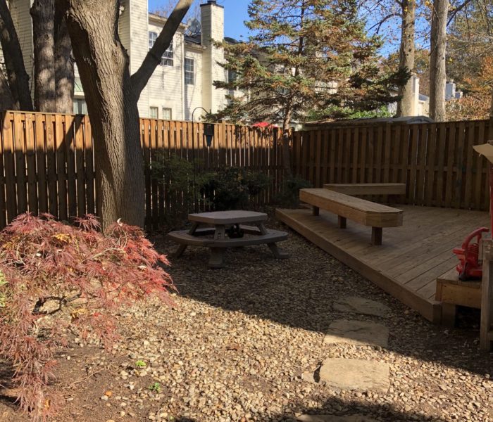 A small backyard with a wooden bench and a tree.